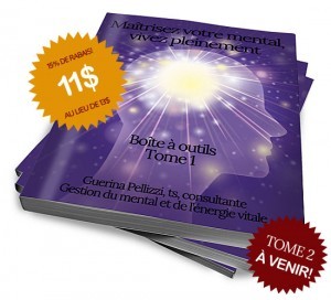 Maîtrisez votre mental, vivez pleinement - boîte à outils Tome 1 - Guerina Pellizzi